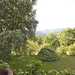 فيلة Delle Fragole *